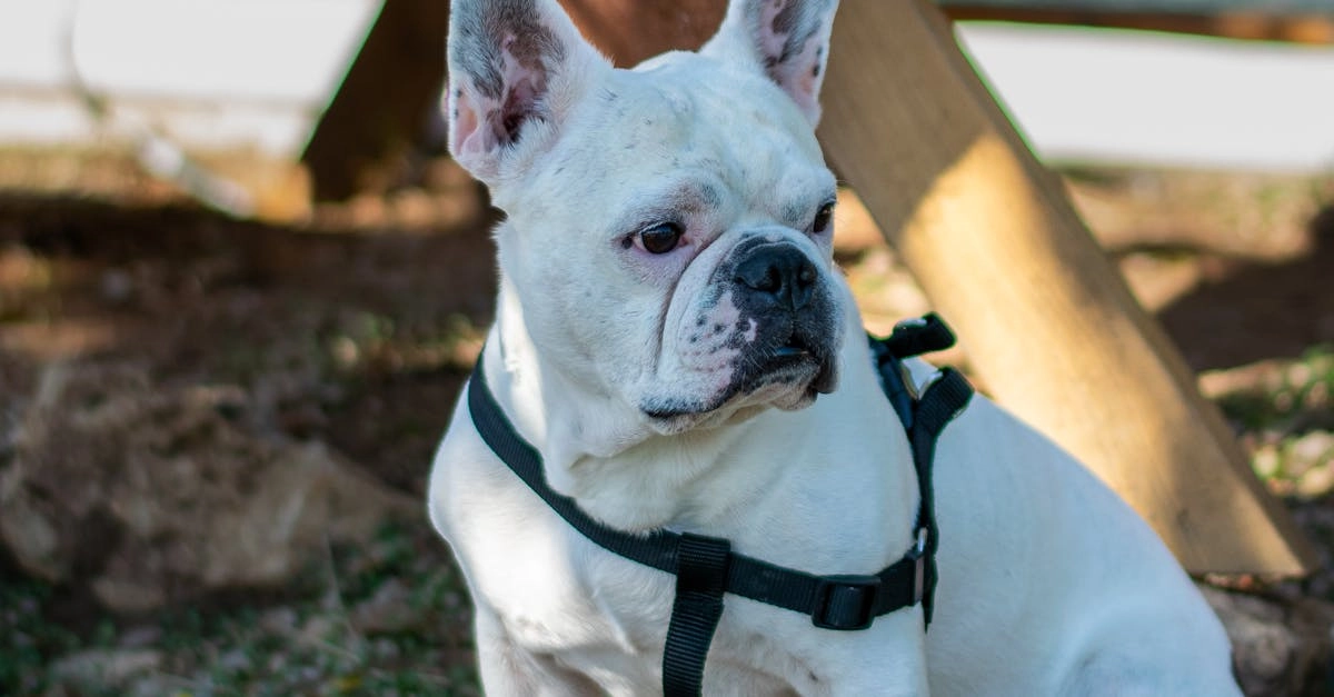 Программы лояльности казино без депозита для новичков